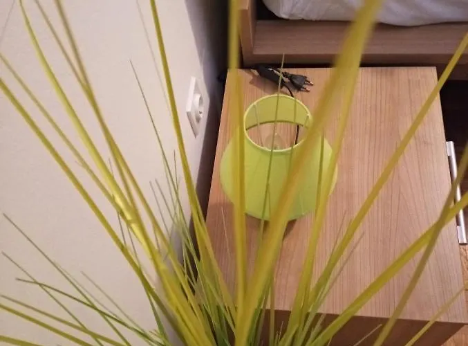 Apartma San - Near The San Simon * Izola